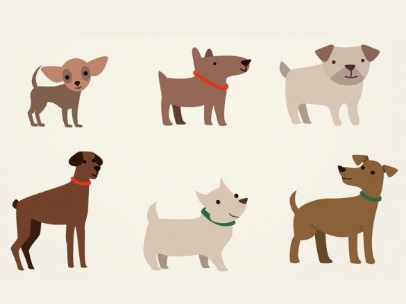 Imagenes de perros Imágenes de perros