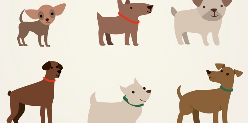 Imagenes de perros Imágenes de perros