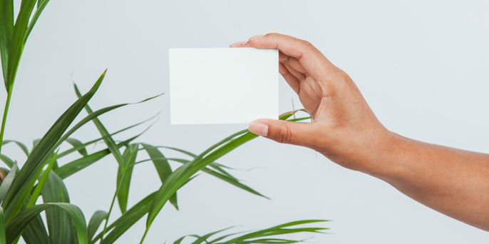 Creación nombre y logotipo Creación nombre y logotipo