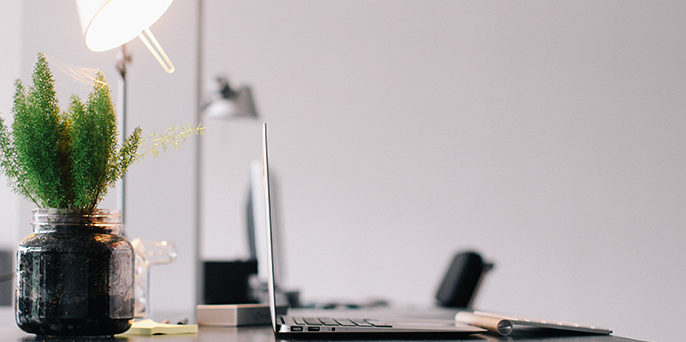 las mejores plantas para la oficina las mejores plantas para la oficina