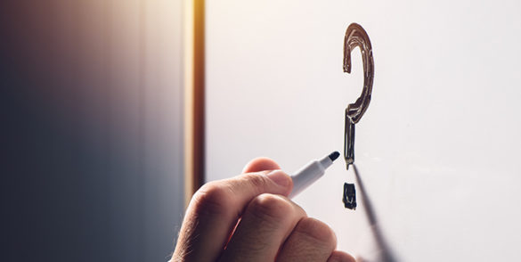 olfato para los negocios olfato para los negocios