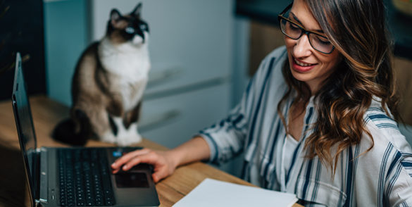 consejos para freelance consejos para freelance