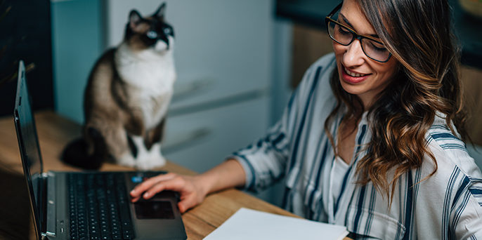 consejos para freelance consejos para freelance