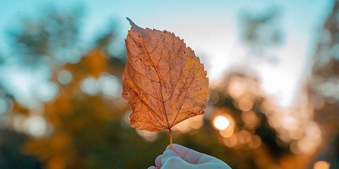 astenia otoñal alquiler de oficinas